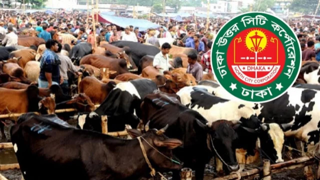 কোরবানির হাট শুরুর বাকি ৩ দিন, ঢাকা উত্তরে চূড়ান্ত হয়েছে মাত্র ২টি