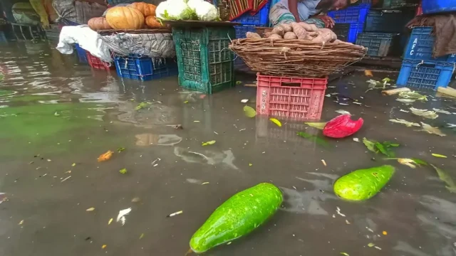 কুমিল্লার ব্রাহ্মণপাড়া উপজেলার সদর কাঁচাবাজারে ড্রেনেজ ব্যবস্থার বেহাল দশায় সামান্য বৃষ্টিতেই সৃষ্টি...