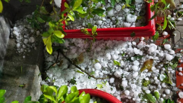 রাজশাহীতে কালবৈশাখী ঝড়ের সাথে আকস্মিক শিলাবৃষ্টিতে ফসলের ব্যাপক ক্ষয়ক্ষতি হয়েছে। মঙ্গলবার (৭ এপ্রিল)...