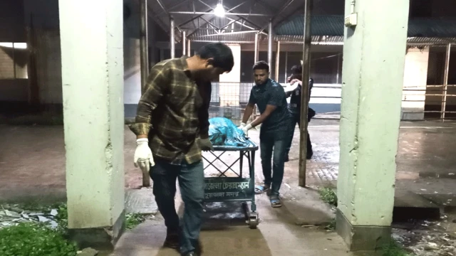 চুয়াডাঙ্গায় তেলবাহী ট্রাক ও ইজিবাইকের মুখোমুখি সংঘর্ষে নারীসহ তিনজন নিহত হয়েছেন।