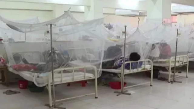বরিশালে ডেঙ্গু আক্রান্ত তিন হাজার ছাড়াল, বাড়ছে উদ্বেগ