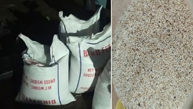 সংগৃহীত ছবি