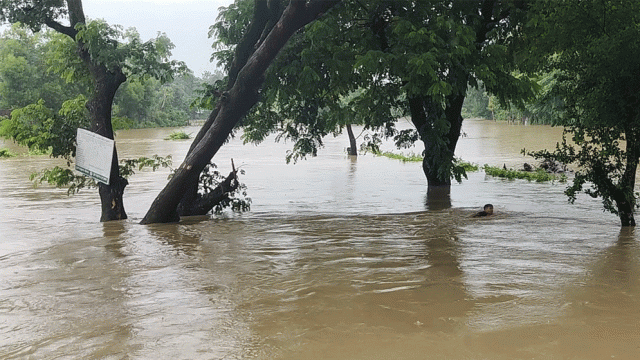 টানা বৃষ্টি ও উজান থেকে নেমে আসা পাহাড়ি ঢলে ফেনীর মুহুরী, কহুয়া ও সিলোনিয়া নদীর বন্যা নিয়ন্ত্রণ বাঁধ...