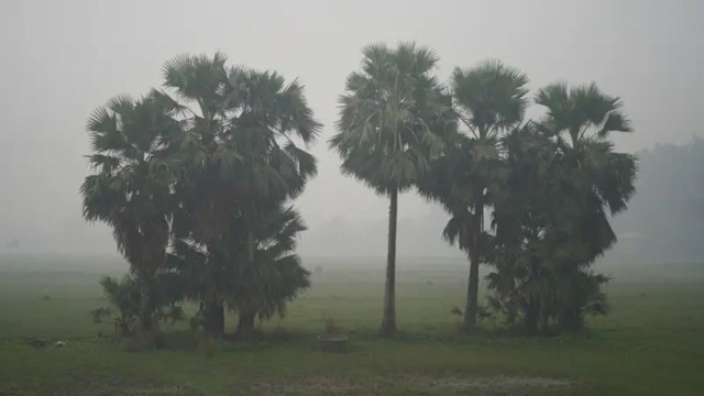 মঙ্গলবার থেকে বাড়তে পারে শীতের তীব্রতা