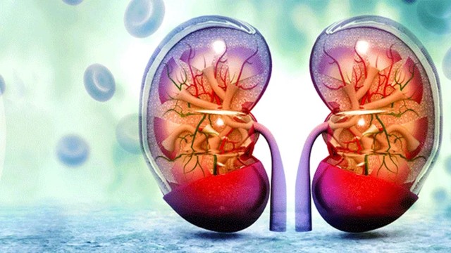কিডনি ভালো রাখতে যে ৩টি খাবার খাবেন