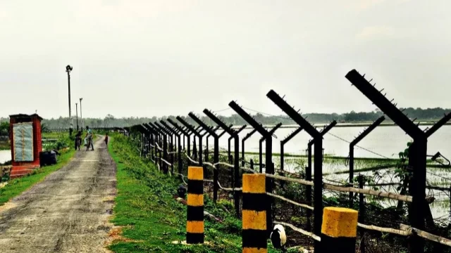 সীমান্তে  সাপ ও কুমির ছাড়ার পরিকল্পনা ভারতের