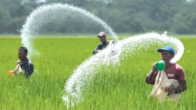 সরকার ১,৫১৫ কোটি টাকায় সার আমদানি করবে