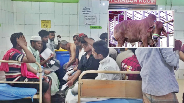 কোরবানি দিতে গিয়ে আহত ১১০ জন, ঢামেকে ভর্তি ৩