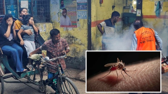 ডেঙ্গুতে আরও ৮ জনের মৃত্যু, নতুন ভর্তি ৭৭৮