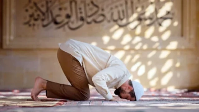 কুরআনের সিজদার আয়াত পাঠ করলে সিজদা করার কারণ ও তাৎপর্য