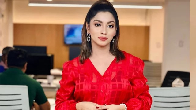জামিনে মুক্তি পেলেন মডেল মেঘনা আলম