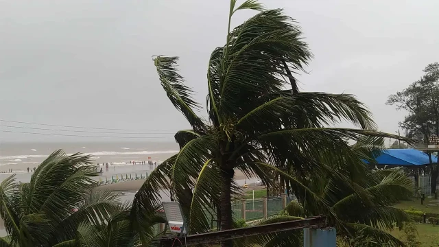 দুপুরের মধ্যে ঢাকাসহ ১৩ জেলায় ঝড়বৃষ্টির সম্ভাবনা