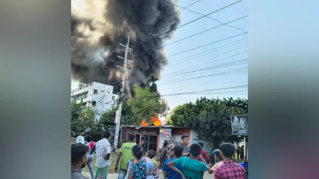 সংগৃহীত ছবি