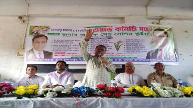 দেশ আর এনজিও পরিচালনা এক নয়: অধ্যক্ষ সেলিম ভূঁইয়া