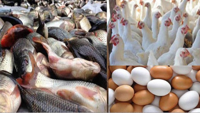 কমেছে ডিমের দাম, মাছ-মুরগির বাজার স্থিতিশীল