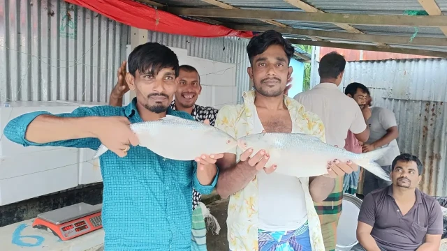 এক মণ চালের দামে এক কেজি ইলিশ