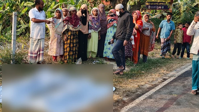 সংগৃহীত ছবি