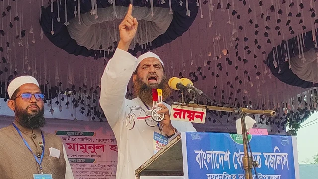 স্বাধীনতার সুফল ঘরে তুলতে আমরা ব্যর্থ হয়েছি: মামুনুল হক