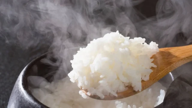 সকালে ভাত খাওয়া কি উপকারী? পুষ্টিবিদদের ব্যাখ্যায় মিলল স্পষ্ট ধারণা