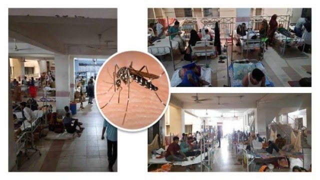 ডেঙ্গুতে আরও একজনের মৃত্যু, হাসপাতালে ভর্তি ১২০