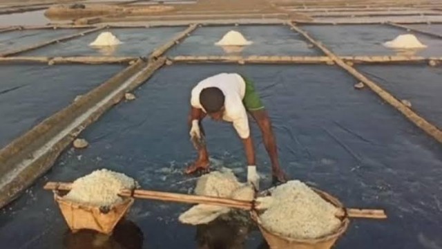 কক্সবাজারে কালবৈশাখীর তান্ডবে লণ্ডভণ্ড লবণ মাঠ: কোটি টাকার ক্ষতির মুখে চাষিরা