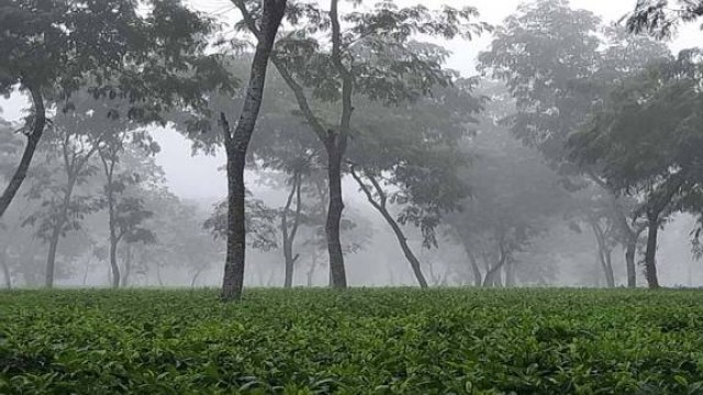 শ্রীমঙ্গলে দেশের সর্বনিম্ন তাপমাত্রা