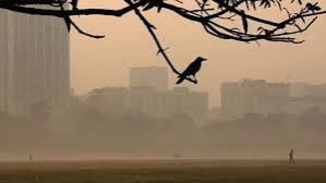 ঢাকায় শীতের প্রকোপ কমলেও ভোরে ঠান্ডা, দিনের তাপমাত্রা অপরিবর্তিত থাকার সম্ভাবনা