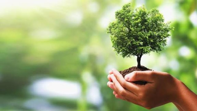 ঢাকায় ২৮ জনের ভাগে একটি গাছ, অক্সিজেন সংকটে ঢাকাবাসী