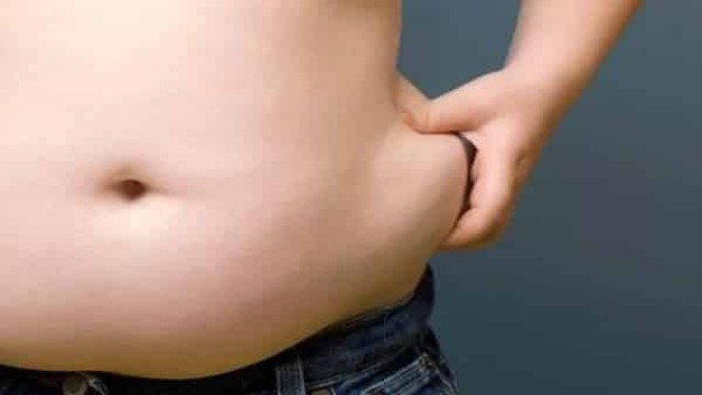 আধুনিক জীবনের জটিল সমস্যা স্থূলতা: সুস্থ থাকতে বিশেষজ্ঞদের পরামর্শ