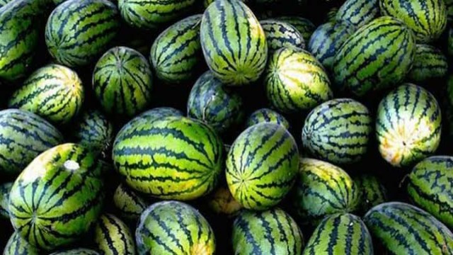 তরমুজের দাম কমলেও বাজারে ক্রেতা সংকট