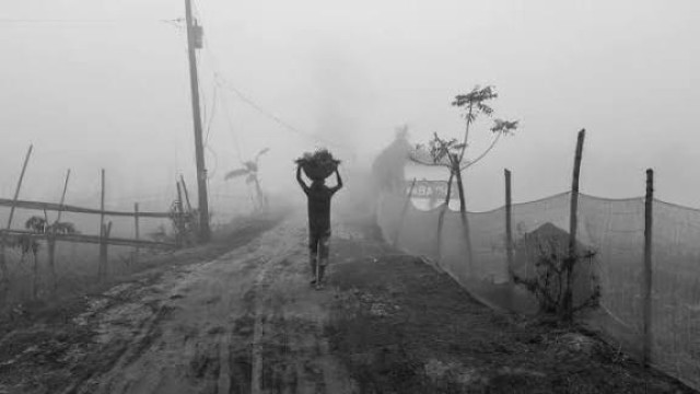 কুড়িগ্রামে হাড়কাঁপানো শীত, জনজীবন স্থবির