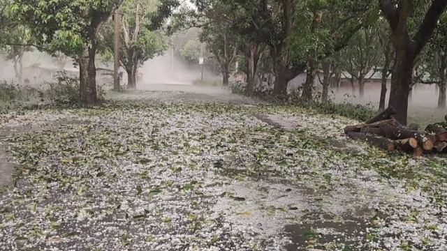 চাঁপাইনবাবগঞ্জে ভয়াবহ শিলাবৃষ্টি: আমের ব্যাপক ক্ষয়ক্ষতিতে শঙ্কিত চাষিরা