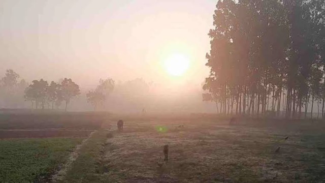 অপরিবর্তিত তাপমাত্রায় মাঝারি কুয়াশার আভাস, বৃষ্টিহীন থাকবে সপ্তাহ