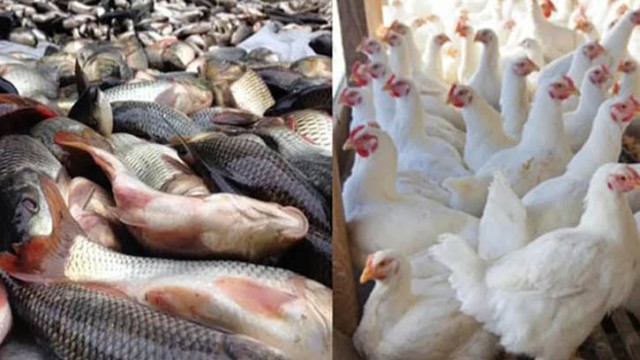 বাজারে স্বস্তি ও অস্বস্তি: মুরগির দাম কমলেও চড়া মাছের বাজার