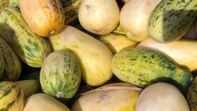 বাঙ্গি খাওয়ার উপকারিতা জেনে নিন