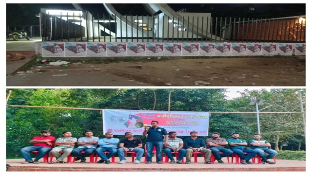 সংগৃহীত ছবি