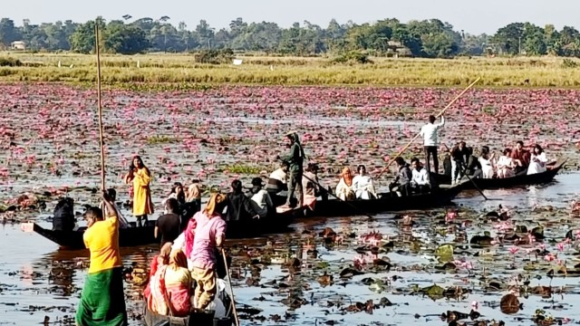 লাল শাপলার রঙে মোড়ানো জৈন্তাপুরের ডিবির হাওড়