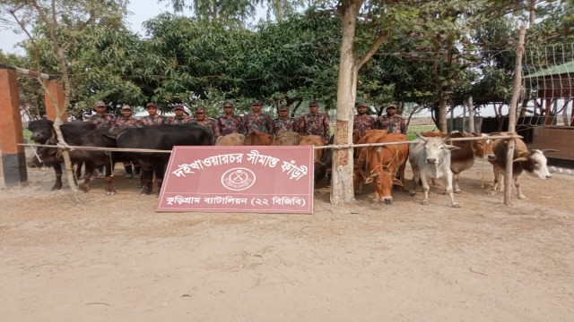 কুড়িগ্রামের সীমান্তে বিজিবির অভিযানে প্রায় অর্ধকোটি টাকার চোরাই পণ্য জব্দ