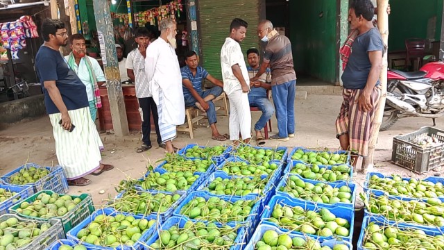 বাগুড়ী বেলতলা আমবাজারে গুটি আমের কেনাবেচায় প্রাণচাঞ্চল্য