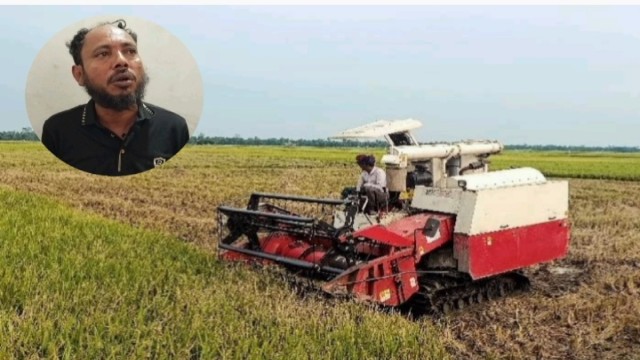 কিশোরগঞ্জের বাজিতপুর উপজেলার হালিমপুর ইউনিয়নের পশ্চিম কুতুবপুর গ্রামে হারভেস্টার মেশিন দিয়ে ধান কাটা...