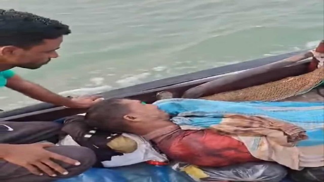 সুন্দরবনে বাঘের হামলায় আহত মৌয়াল