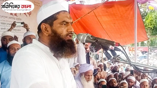 বাংলাদেশ যদি বেঁচে যায়, হাদিরা বেঁচে থাকবে : মামুনুল হক