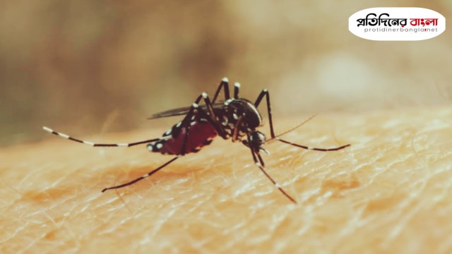 ডেঙ্গুতে আরো ৫ জনের মৃত্যু, হাসপাতালে ভর্তি ৩৮৭