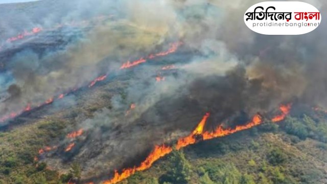ভারতের নাগাল্যান্ডে দাবানল, ৩ দিন ধরে জ্বলছে জুকো উপত্যকা