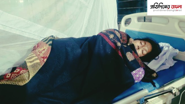 বিধবা নারীকে ছুরিকাঘাত, ৭ লাখ টাকা ও স্বর্ণালঙ্কার লুটের অভিযোগ