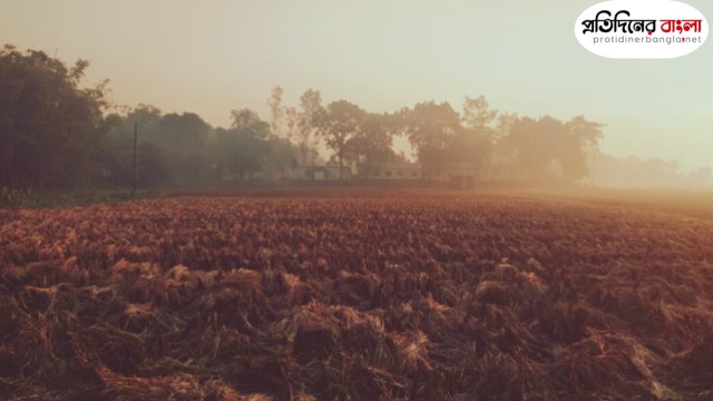 তেঁতুলিয়ায় ঝলমলে রোদেও তাপমাত্রা ৯ ডিগ্রিতে