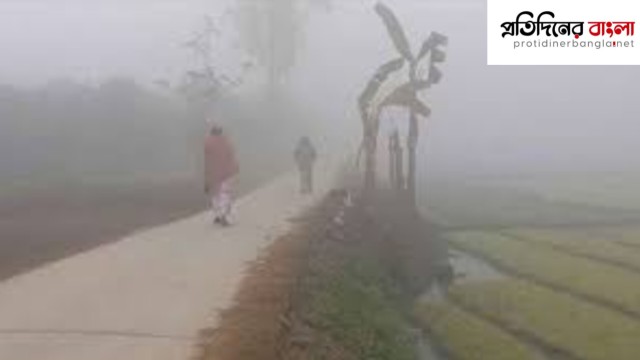 ঘন কুয়াশা ও তীব্র শীতে বিপর্যস্ত পঞ্চগড়, তেঁতুলিয়ায় তাপমাত্রা ১০ ডিগ্রি