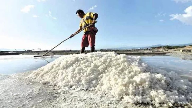 দেশে রেকর্ড পরিমাণ লবণ উৎপাদন