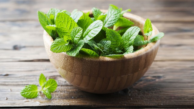 সুগন্ধীর পাশাপাশি পুষ্টিরও জোগান দেয় পুদিনা পাতা