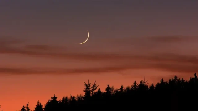 মঙ্গলবার রমজানের চাঁদ দেখবে কাতার ও সৌদি আরব